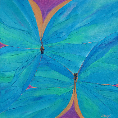 Blue Morphos