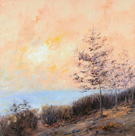 Orange Colored Sky
